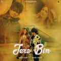 Tere Bin