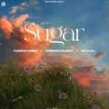 Sugar