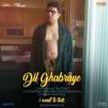 Dil Ghabraye