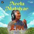 Neela Malaiyae