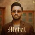 Mehal Zafar Brar