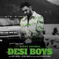 Desi Boys
