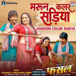 Maroon Color Sadiya - Fasal