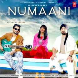 Numaani - Ip Singh