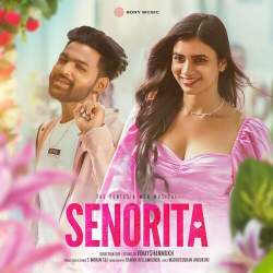 Senorita - The Fantasia Men
