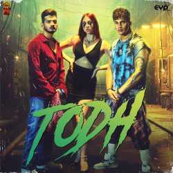 Todh - Prince Narula