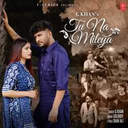 Tu Na Mileya - G Khan